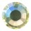 STRASS PRECIOSA TERMOADESIVO SS20(5MM) JONQUIL AB-144PZ